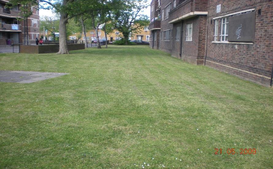 A. Lawns and grassed areas Note When judging these areas, consideration should be given to the frequency of
