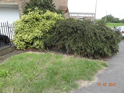 1 0 Very poor There is evidence that in a number of areas, hedges are significantly overgrowing footpaths, grassed areas and parking or seating areas.