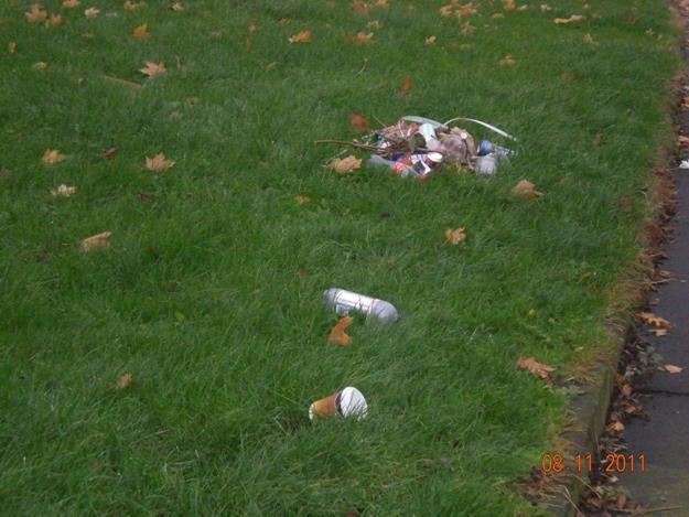 There would be evidence of excessive amounts of litter,