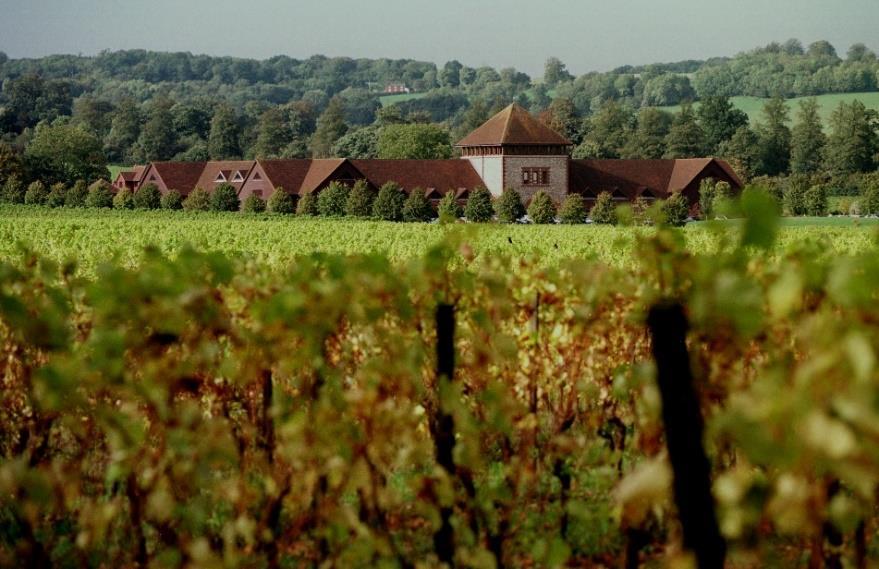 Denbies core business is agriculture and they are pleased to be able to offer visitors an insight into wine production in the UK.