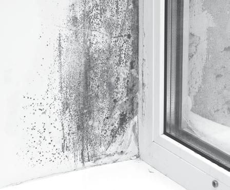 MOULD IN HOUSING What makes mould grow? Mould will grow if we provide it with moisture and nutrients. If we keep things dry, mould does not grow.