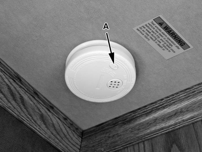 1 CARBON MONOXIDE/LP GAS DETECTOR DANGER You can die or be brain damaged by carbon monoxide. Do not operate gas appliances or generator without a working carbon monoxide detector.