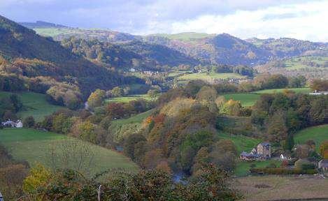 >50% cover Mosaic landscapes woodland patchwork 20-50%, <10ha, hedgerow trees (59% Wales)