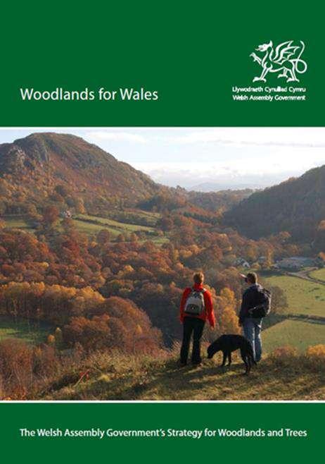 Woodlands for Wales Vision 50+ years Wales will be known for its high-quality woodlands that enhance the landscape, are appropriate to local conditions and have a diverse mixture of species and