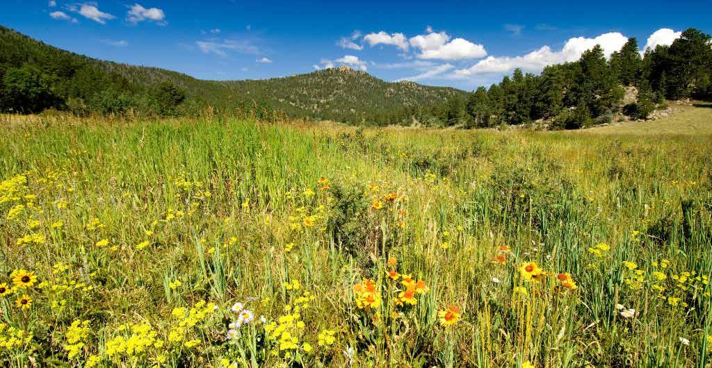 OUR LANDS OUR FUTURE RECREATION & CONSERVATION CHOICES FOR NORTHERN COLORADO This county-wide study of the region s needs and preferences related to land conservation, stewardship of locallyconserved
