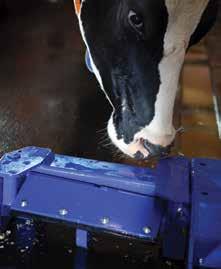 The DeLaval alley cleaner hydraulic ACH does the dirty work all day long without needing your attention.