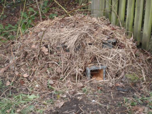 made us a hedgehog nesting box A local resident made mushroom logs which have been donated by the council s tree warden.