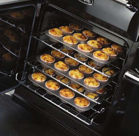 MULTIFUNCTION OVEN FEATURES MULTIFUNCTION OVEN FEATURES FAN OVEN FANNED GRILLING Utilising the fan and heating