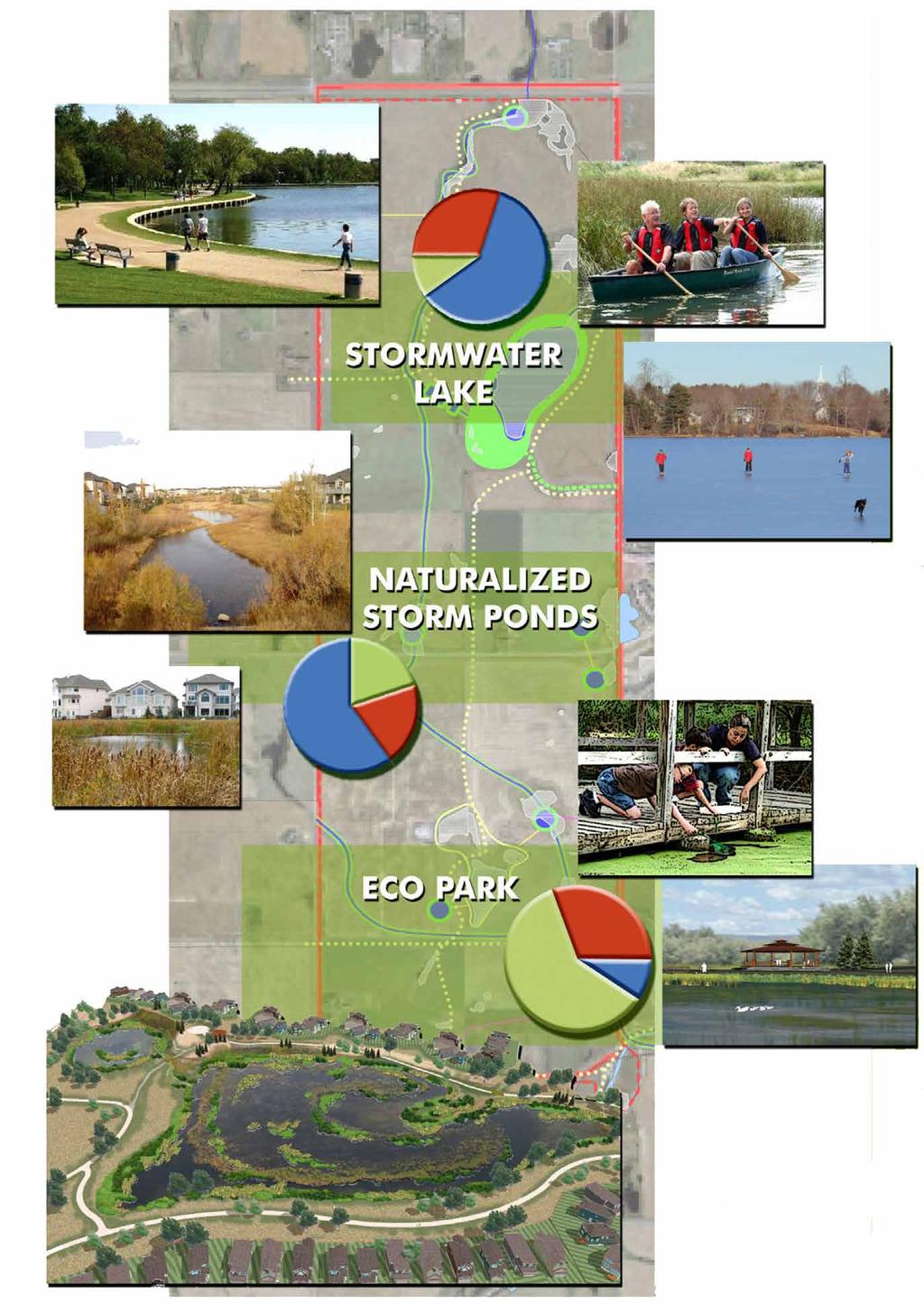 THE WATERSCAPE VISION WETLAND PRESERVATION STORMWATER MANAGEMENT