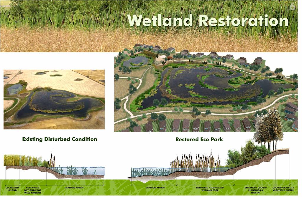 THE ECO PARK Retains & enhances a natural complex of high-valued and high- functioning wetlands Supports a rich biodiversity of