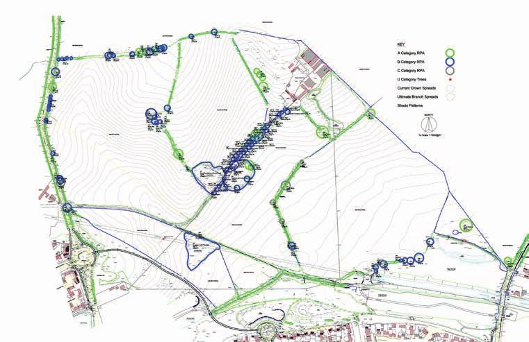 surveys and environmental assessment Archaeology Interpretation - Overview The landscape around Daventry contains a number of well known archaeological sites such as Borough Hill and the Roman town