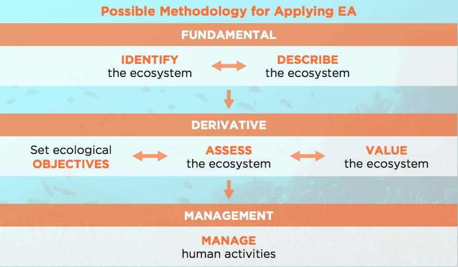 Ecosystem Approach to Management: Prepare guidelines addressing EA/EBM implementation in Arctic (marine) ecosystems (per Iqaluit declaration) EA Work Plan 2017-2019 6 th EA workshop in late autumn