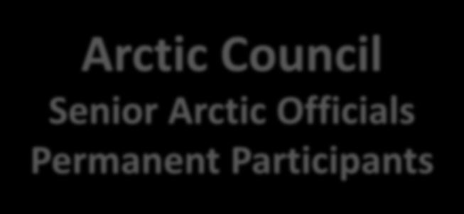Arctic Council Senior Arctic Officials