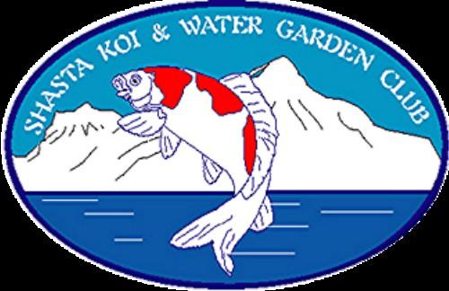 Shasta Koi and Water Garden Club P.O. Box 493425 Redding, CA 96049 ShastaKoiClub.