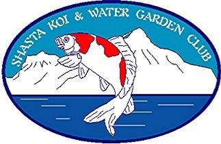 Become a Member Today! Our meetings are a time to socialize in good company about the Koi and Water Garden hobbies. Short programs about ponds, plants and Koi are a part of every meeting.