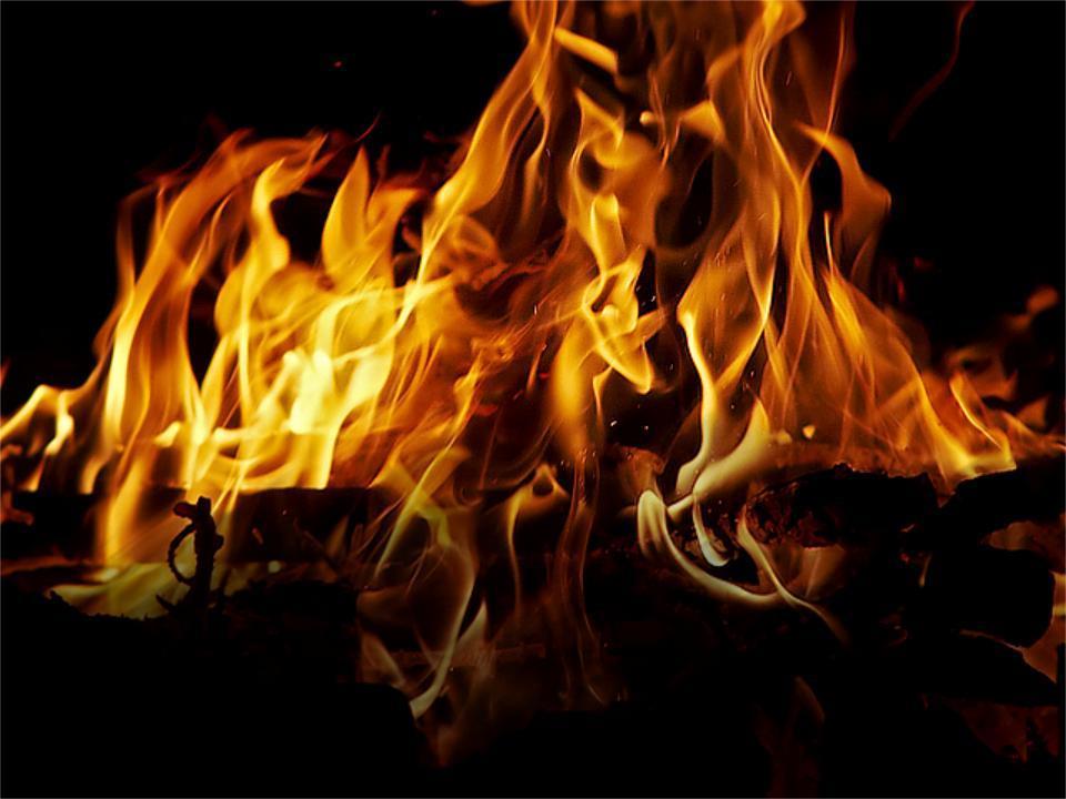 Paul Amundson Evergreen Fire