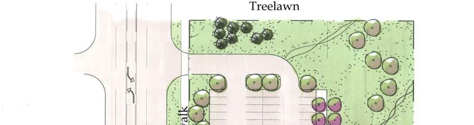 zone or landscape buffer yard that includes densely-planted evergreen and deciduous trees