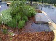 manage stormwater as close to its source as possible.