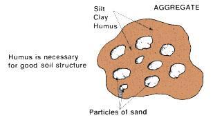 Soil Structure Variation is mainly based on
