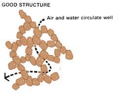 org Soil Structure Soil structure mostly