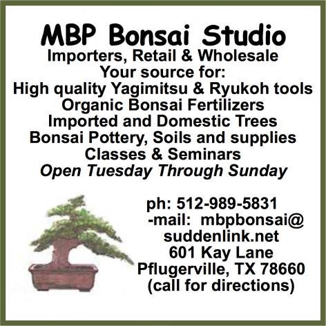 January Bonsai By John Miller The next 5 weeks should be good for dormant oil and lime sulphur dormant sprays, especially so if you had any problem last year.