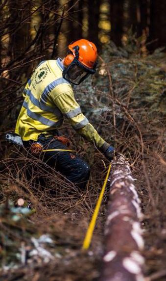 South Lakes Tree Surgeons & Landscapes Ltd has a plentiful supply of logs and fire wood from our day to day tree surgery operations and can deliver throughout the South Lakes and Furness area from