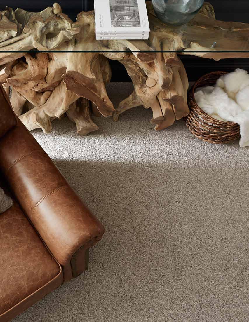 2018 Browns CARPET CARE GUIDE 8517