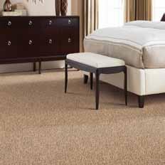 A Two-Step Solution With today s stain-resistant carpet, treating spots and stains has never been easier. Still, no carpet is completely stain proof. The key is to act quickly!