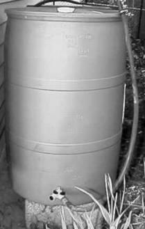 Single Rain Barrel Completed In the photo above you will see the short hose connected to one of the Y connector faucets. This is used to fill your watering can.