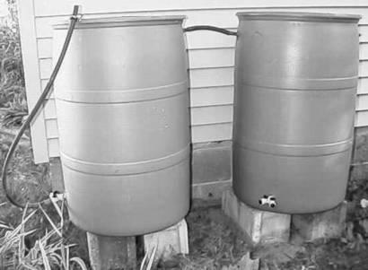 Double Rain Barrel System In the above photo, note the short hose connecting the two barrels. This is the overflow line.