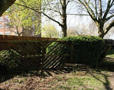 _Existing stores _Existing fence and hedges _Existing