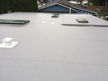 1. Roof Condition Roof EPDM rubberized