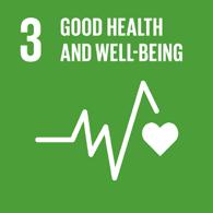Framework 14 11 Localizing SDGs Goal 15 SDG11.