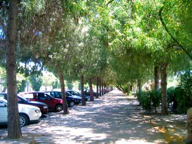NORTH SAN JOSÉ AREA DESIGN GUIDELINES : STREETSCAPE Street Hierarchy and Typologies: Parkways Provide parkways to enhance pedestrian and bicycle connections, particularly between the Guadalupe River