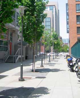 NORTH SAN JOSÉ AREA DESIGN GUIDELINES : SITE PLANNING Walkability Pedestrian-Friendly Environment Connectivity
