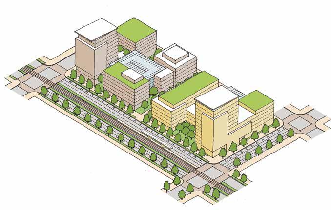 NORTH SAN JOSÉ AREA DESIGN GUIDELINES : SITE PLANNING Site Layout: Guidelines Overview The site layout should respect natural conditions and assets, fit into the existing and planned urban fabric,