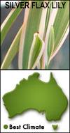 labillardieri), silver flax lily (Dianella Border Silver ), tassel cord rush (Baloskion tetraphyllum often sold as Restio tetraphyllus), Nyalla lomandra