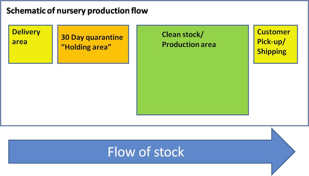 and keep stock labeled so plant origin can be easily identified. g. Suspend use of all fungicides during the holding period. Figure 3. Schematic showing flow of nursery stock.