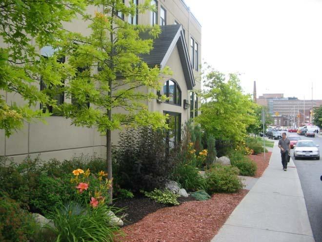 Plant trees, shrubs, and ground cover adjacent to the public street and sidewalk for an attractive sidewalk edge.