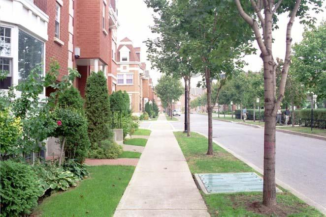 Figure 4: A sidewalk lined with trees is a pleasant pedestrian environment Figure 5: A row of street trees creates an