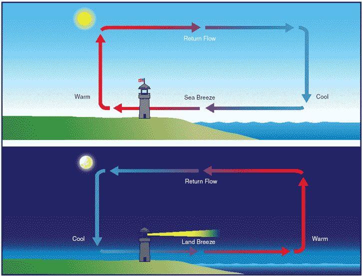 The water moves north and south and carries thermal energy (heat) to colder water