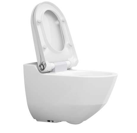 3 OVERVIEW OF YOUR LAUFEN SHOWER TOILET 3.