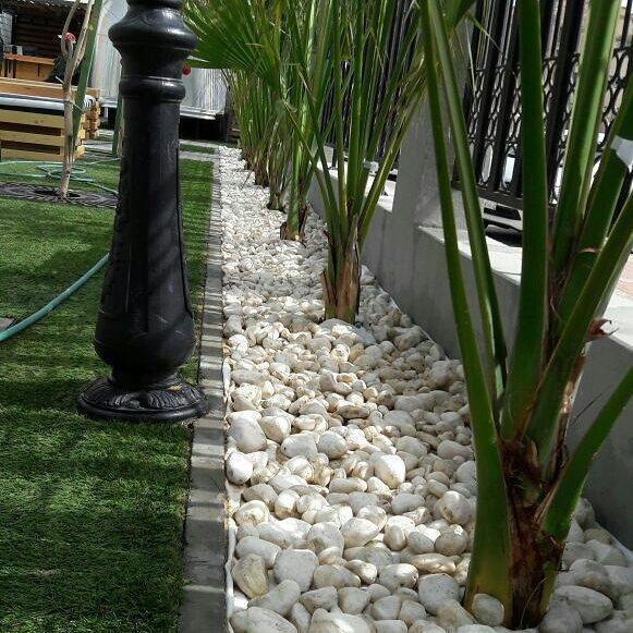 Landscape work consist of planting palms and grass with total area of 550M2 Hardscape work, Construction.