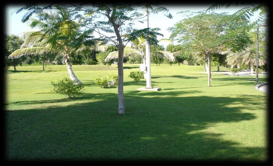 Ibraheem Habeeb Compound Main Contractor: Camp Owner Project Location: Al-Khobar Type of work: Landscaping and Irrigation Started: December 1999 Completed Date: January 2000 Description of Work: The