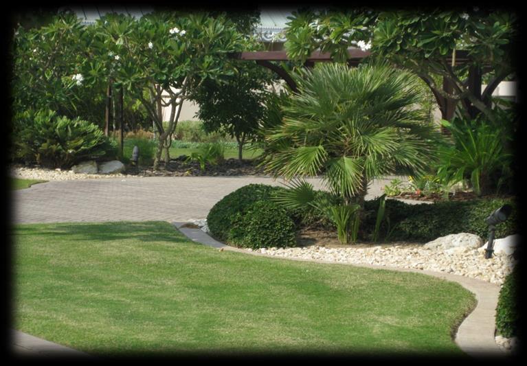 We have developed the garden, redesigning the shape of existing trees to look better in attractive to the guest.
