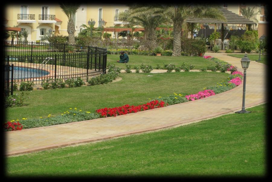 Al-Zamil Murjan Residential Camp Location: Jubail City Years of Continuous Service: Started June 1st, 2007 Description of Work: This is the most prestigious compound built to high class level.