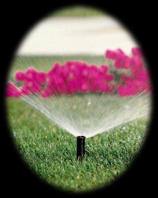 Irrigation Services Plantira can give you a professionally installed Irrigation system that will give you years of trouble free service.