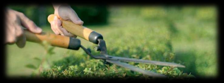 Gardening Maintenance Services Our Maintenance Service Program includes everything listed below each time we service your property.