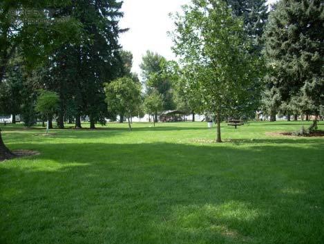 Park lawns are ideal as informal gathering spaces and casual recreation. Typically, they are used by individuals or small groups of people for low intensity leisure activities.