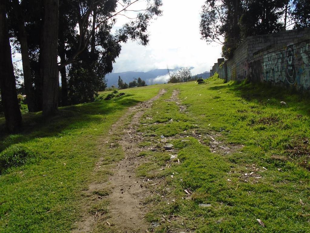 Conclusion Slopes and ravines in informal settlements of Quito constitute a green platform for informal infrastructure for mobility, which supports the agency of residents in making a living.